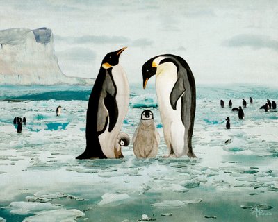 Família do pinguim-imperador de Angeles M. Pomata