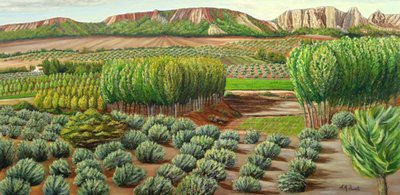 Terras agrícolas de Green Valley de Angeles M. Pomata