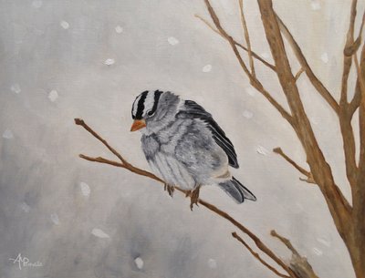 Pardal-silencioso-de-inverno de Angeles M. Pomata