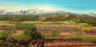 Vinha Rural de Montanha de Angeles M. Pomata