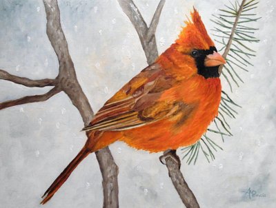 Cardeal-vermelho-nevado de Angeles M. Pomata