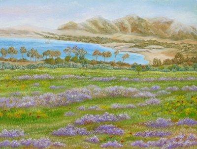 Baía de Spring Meadow de Angeles M. Pomata