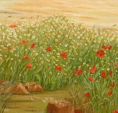 Papoilas de Verão: Campo de Margaridas de Angeles M. Pomata