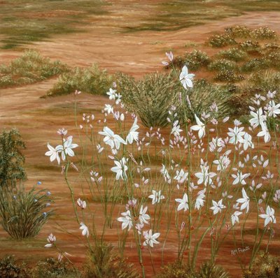 Flores do Deserto Branco de Angeles M. Pomata