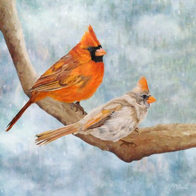 Casal de cardeais no inverno de Angeles M. Pomata