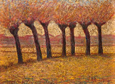 Paisagem de Angelo Barabino