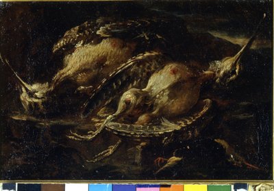 Natureza morta dos pássaros. Pintura de Angelo Maria Crivellone (? - 1730/60?). Milão, CRA. de Angelo Maria Crivelli