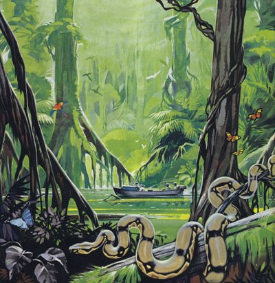 Explorar o rio Amazonas (litografia a cores) de Angus McBride