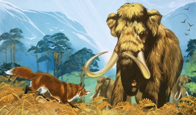 Raposa a atacar mamute de Angus McBride