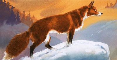 Raposa na neve de Angus McBride