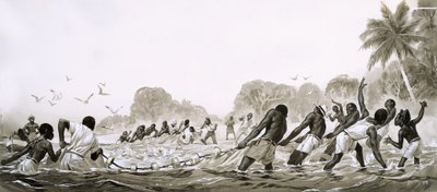 Nativos das Caraíbas utilizam redes para pescar nos mares de Angus McBride