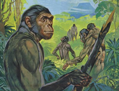 Pithecanthropus (litografia a cores) de Angus McBride