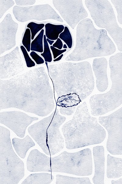 Resumo: Rosa Azul de Ankie Kooi