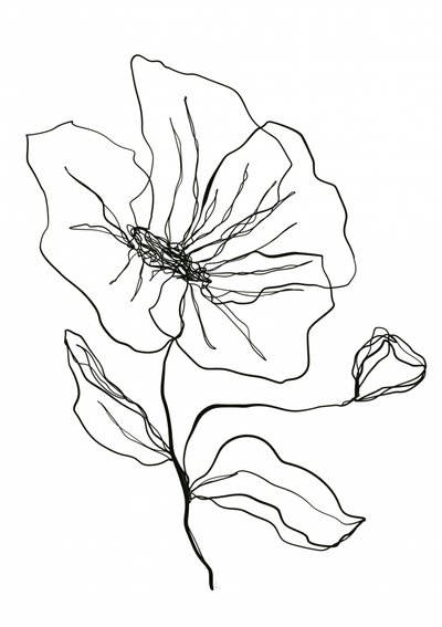 Esboço de uma flor delicada de Ankie Kooi