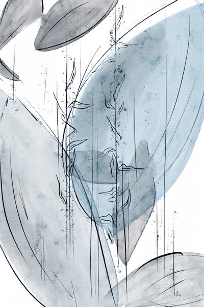 Gentle Blue Botanicals de Ankie Kooi