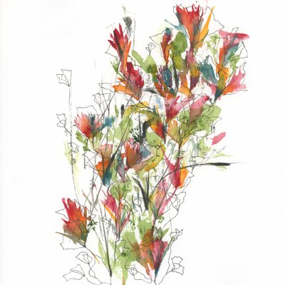 Flores vibrantes em aguarela de Ankie Kooi