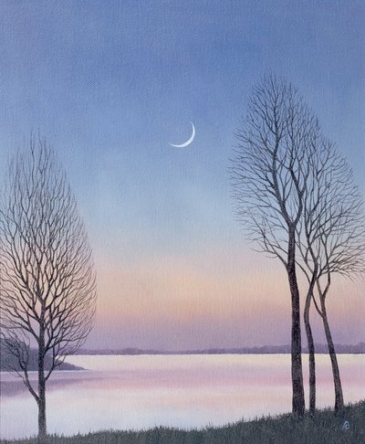 Anoitecer em Draycote, 2008 de Anna Phillips