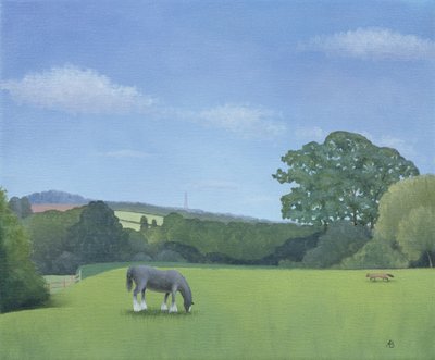 Emmas View, 2008 de Anna Phillips