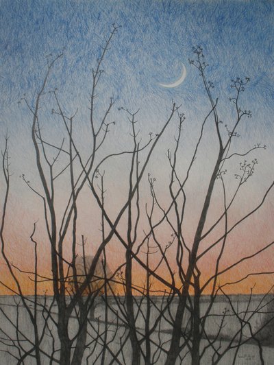 Da minha janela, 2011 (lápis colorido sobre papel) de Anna Phillips