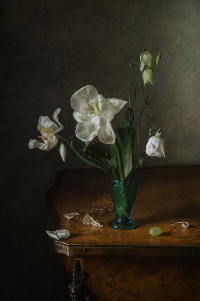 Natureza morta floral elegante de Anna Petina