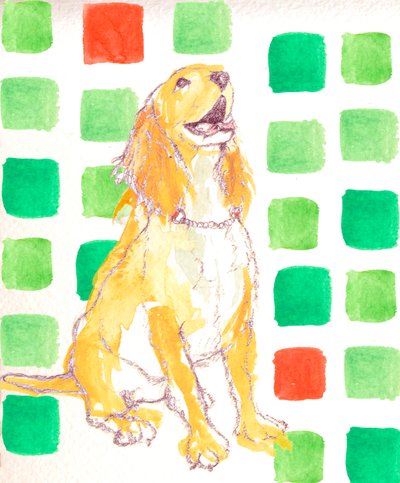Cachorrinho de Anna Platts