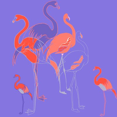 Flamingos de Anna Platts