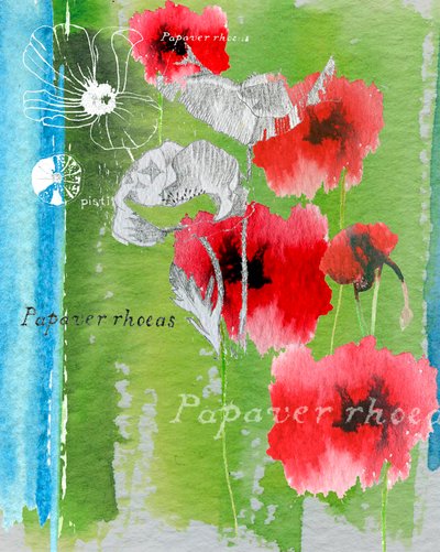 Papoula de Anna Platts