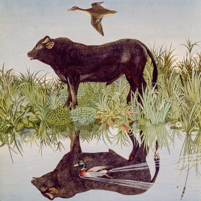 Reflectindo, 2004 (acrílico) de Anna Pugh