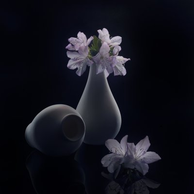  de Anna Qu