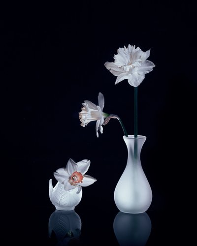  de Anna Qu