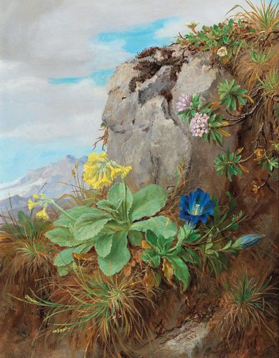 Flores de Alpino de Anna Stainer Knittel