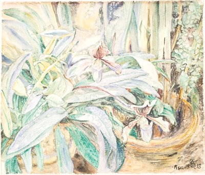 Orquídeas, Jardim Botânico, Pisa de Anna Syberg