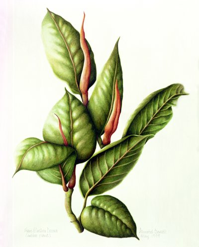 Usina de Borracha, 1999 (wc no papel) de Annabel Barrett
