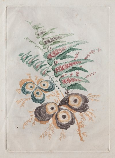 Novo Conjunto de Portfólios de Flores Ideal para Usar no Desenho e Pintura: Fantasias Florais de Anne Allen