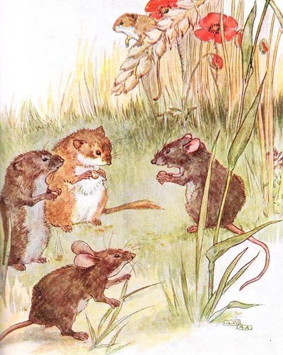&39;Estou ficando com amigos no país&39;, ilustração de &39;The Mischievious Mousie Book&39;, publicado por Thomas Nelson und Sons, década de 1920 de Anne Anderson