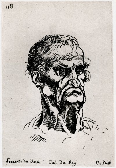 Zeichnung nach Leonardo da Vinci, ca. 1710-1765 von Anne Claude Philippe de Caylus