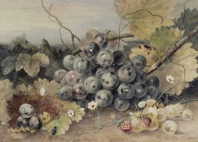 Uvas e morangos de Anne Frances Byrne