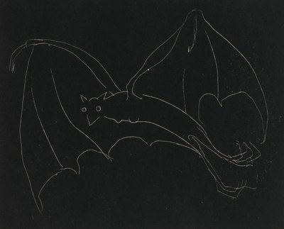 Série da noite: The Bat (gravura, linha branca em papel de capa) de Anne Goldthwaite