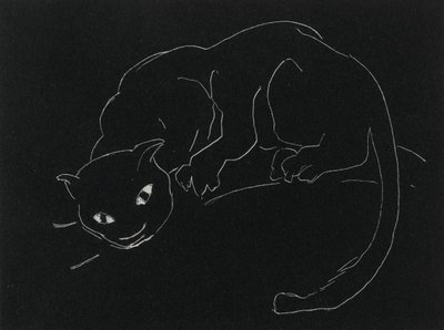 Série Noturna: O Gato (lito, linha branca em papel de capa) de Anne Goldthwaite
