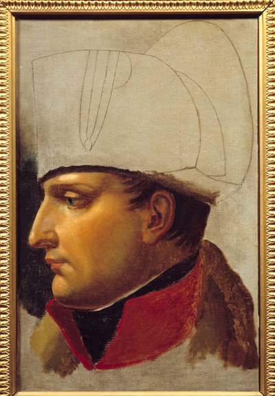 Retrato do estudo de Napoleão I (1769-1821) para a entrega das chaves da cidade de Viena em 13 de novembro de Anne-Louis Girodet de Roucy-Trioson