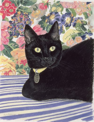 Gato preto de Anne Robinson
