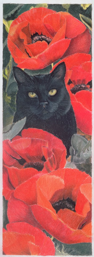 Gato preto com papoulas de Anne Robinson