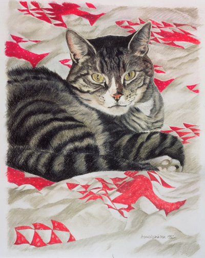Gato na colcha de Anne Robinson