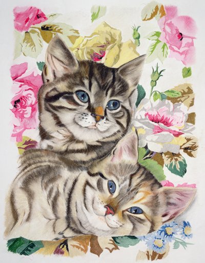 Dois gatinhos de Anne Robinson