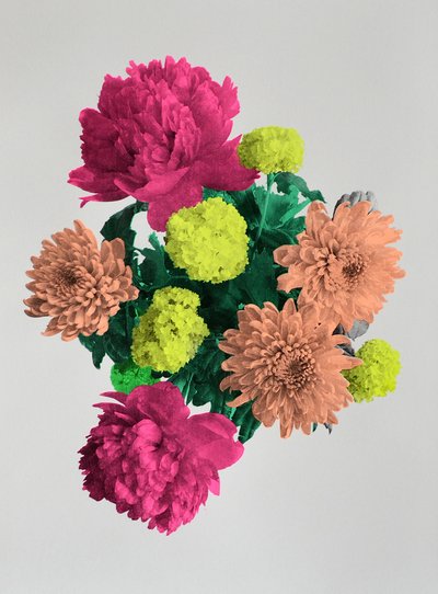 Blooming Happiness, 2017 de Anne Storno