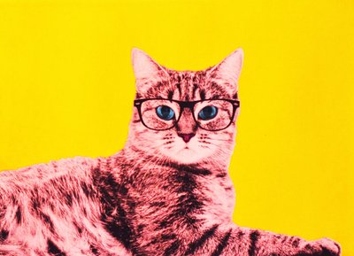 Vida em technicolor, 2017 de Anne Storno