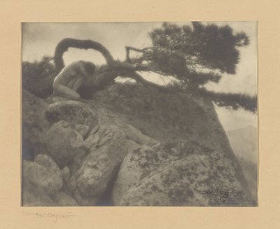 The Lone Pine de Anne W. Brigman