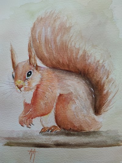 Esquilo vermelho fofo de Annette Armitage