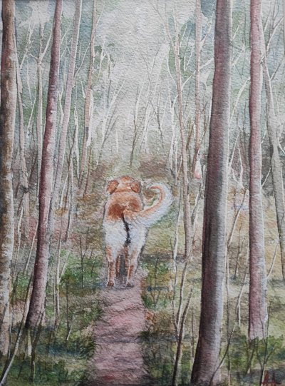 Passeio na floresta com o cão de Annette Armitage