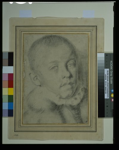 Cabeça de retrato de um jovem rapaz (giz preto e carvão vegetal sobre papel) de Annibale (follower of) Carracci